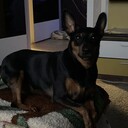 ���������� �����-���������, ���� ����� ������, 23 ����, ������������ ��� ������, ����� � ���������, c�������� ���������, ���������