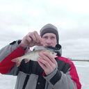 ���������� ������, ���� ������� ����, 43 ����, ������������ ��� ������, ����� � ���������, c�������� ���������, ���������