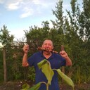 ���������� ������, ���� ������� ����, 47 ���, ������������ ��� ������, ����� � ���������