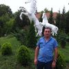  ,   Ayzek, 53 ,     , c 