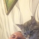  ,   , 47 ,   ,   , 