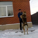 ���������� �������, ���� ������� ���, 34 ����, ������������ ��� ������, ����� � ���������, c�������� ���������