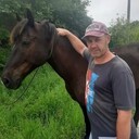 ���������� ���������, ���� ������� ���������, 51 ���, ������������ ��� c�������� ���������