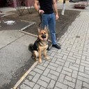 ���������� ������, ���� ������� Taron, 30 ���, ������������ ��� ������, ����� � ���������