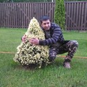  ,   , 37 ,   ,   , c 