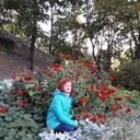 ���������� ����, ���� ������� �������, 66 ���, ������������ 