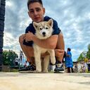 ���������� ������, ���� ����� ����, 25 ���, ������������ ��� ������, ����� � ���������, c�������� ���������, ���������