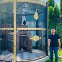  ,   ׸ , 31 ,     , c 