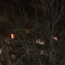 ���������� ����-�����������, ���� ������� ��������, 43 ����, ������������ ��� ����� � ���������, c�������� ���������