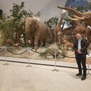 ���������� ������, ���� ������� ��������, 53 ����, ������������ ��� ������, ����� � ���������