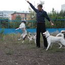 ���������� ����������, ���� ������� Dim, 41 ���, ������������ ��� ������