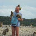 ���������� �������, ���� ������� ������, 52 ����, ������������ ��� ������, ����� � ���������, c�������� ���������