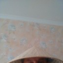 ���������� �����, ���� ������� �������, 55 ���, ������������ ��� ������