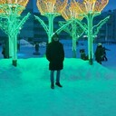 ���������� ��������, ���� ������� ������, 35 ���, ������������ ��� ������, ����� � ���������