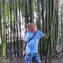  ,   , 50 ,   ,   , c , 
