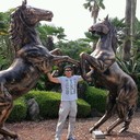 ���������� ������, ���� ������� ���������, 38 ���, ������������ ��� ������, ����� � ���������, c�������� ���������