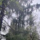 ���������� ������, ���� ������� �����, 26 ���, ������������ ��� ������, ����� � ���������