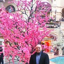  ,   , 52 ,  