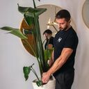 ���������� ������, ���� ������� �����, 32 ����, ������������ ��� ������, ����� � ���������, c�������� ���������, ���������