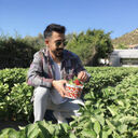  ,   Mahmut, 27 ,   ,   