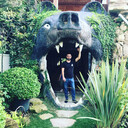 ���������� �����-���������, ���� ������� �����, 34 ����, ������������ ��� ������, ����� � ���������, c�������� ���������