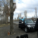 ���������� ��������, ���� ������� ����, 38 ���, ������������ ��� ������, ����� � ���������