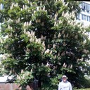 ���������� ��������, ���� ������� �����, 36 ���, ������������ ��� ������, ����� � ���������, c�������� ���������, ���������