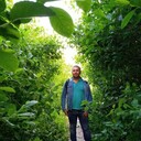 ���������� ������-��-����, ���� ������� �������, 36 ���, ������������ ��� ������, ����� � ���������