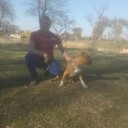 ���������� ������ ���, ���� ������� ������, 39 ���, ������������ ��� ������, ����� � ���������, c�������� ���������