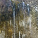 ���������� ����������, ���� ������� ����, 42 ����, ������������ ��� ������, ����� � ���������, c�������� ���������