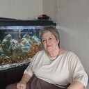 ���������� ����������, ���� ������� �����, 66 ���, ������������ ��� ���������