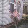   ,   , 41 ,   