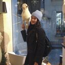 ���������� ���������, ���� ������� �������, 36 ���, ������������ ��� ������, ����� � ���������, c�������� ���������