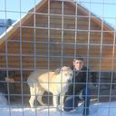 ���������� ������, ���� ������� Temur, 52 ����, ������������ ��� ������, ����� � ���������, c�������� ���������