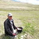 ���������� ����������, ���� ������� ������, 36 ���, ������������ ��� ������, ����� � ���������, c�������� ���������