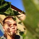 ���������� ������, ���� ������� ������, 33 ����, ������������ ��� ������, ����� � ���������