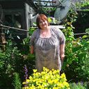  --,   , 68 ,     , c , 