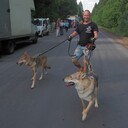 ���������� �����, ���� ������� �������, 44 ����, ������������ ��� ������, ����� � ���������, c�������� ���������