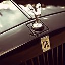 ���������� ������������, ���� ������� Vitis123, 37 ���, ������������ ��� ������, ����� � ���������, c�������� ���������