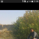  ,   , 49 ,   ,   , c 