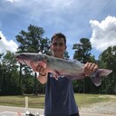 ���������� ������, ���� ����� ����, 22 ����, ������������ ��� ������, ����� � ���������