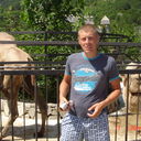 ���������� ��������, ���� ������� Zenuk, 38 ���, ������������ ��� ������, ����� � ���������, c�������� ���������