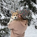 ���������� �����-���������, ���� ������� �������, 38 ���, ������������ ��� ������, ����� � ���������, c�������� ���������, ���������