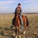  ,   SADAM, 30 ,   ,   , c 