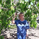 ���������� ����������, ���� ������� �������, 57 ���, ������������ ��� ������, ����� � ���������, c�������� ���������