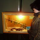  ,   , 32 ,   ,   , c , 