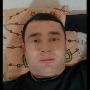 ���������� ����-���������, ���� ������� Al Fredo, 35 ���, ������������ ��� ������, ����� � ���������, c�������� ���������, ���������