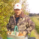  ,   , 61 ,   ,   , c 