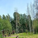 ���������� �����-���������, ���� ������� �������, 41 ���, ������������ ��� ������, ����� � ���������