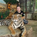 ���������� �����������, ���� ������� ����, 33 ����, ������������ ��� c�������� ���������